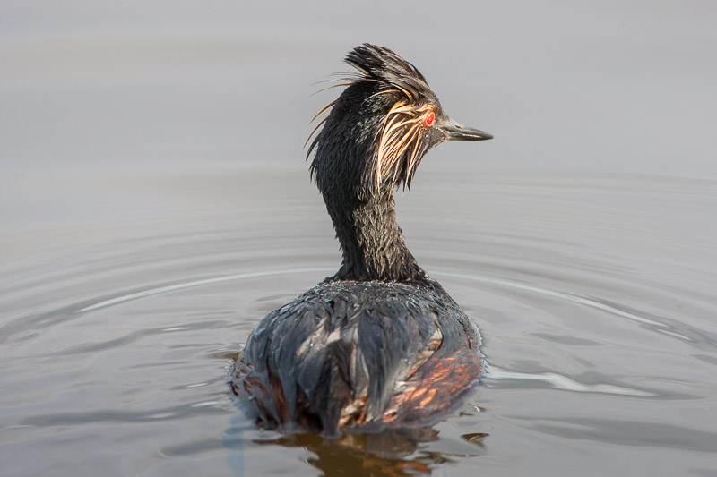 20130605_Frank Lake_0388.jpg