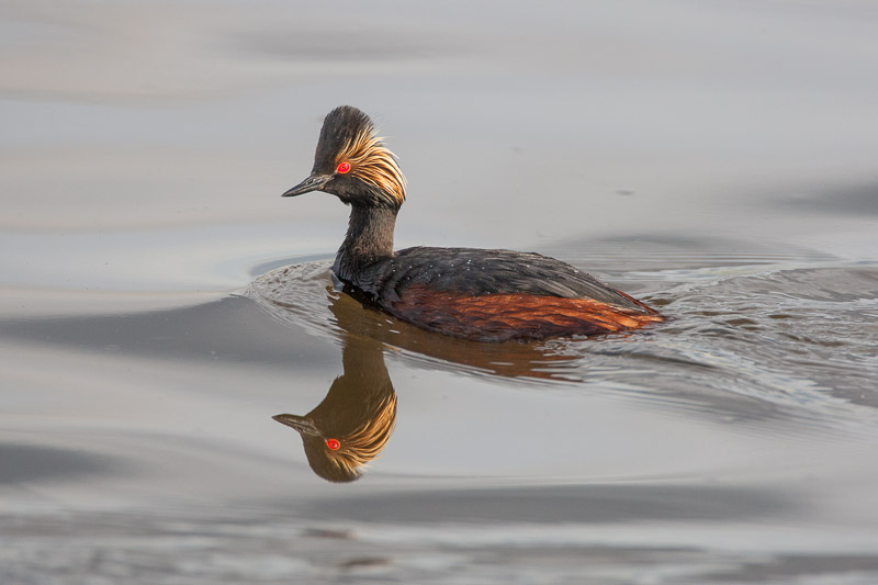 20130605_Frank Lake_0398.jpg