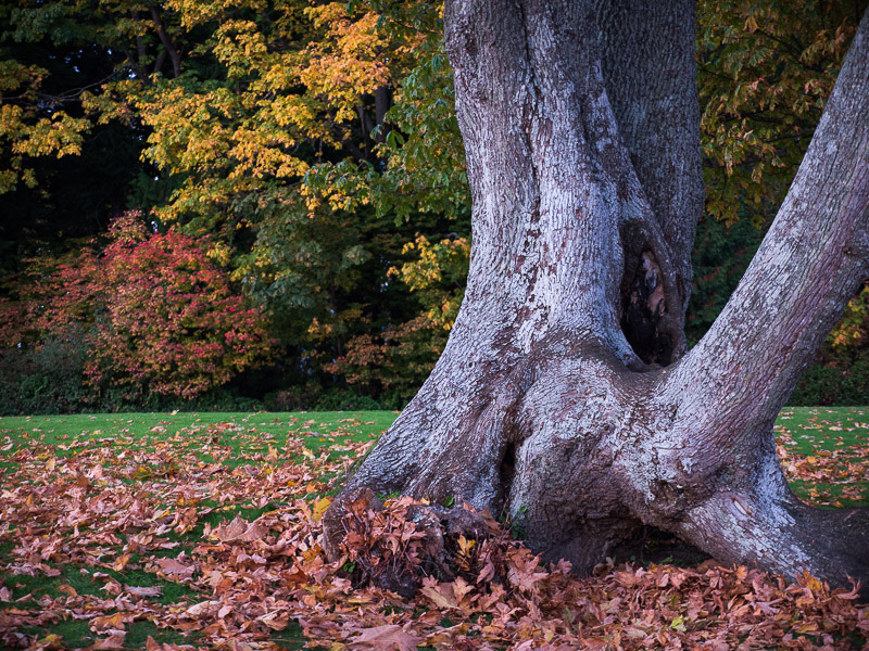 20131013_Vancouver_0014.jpg