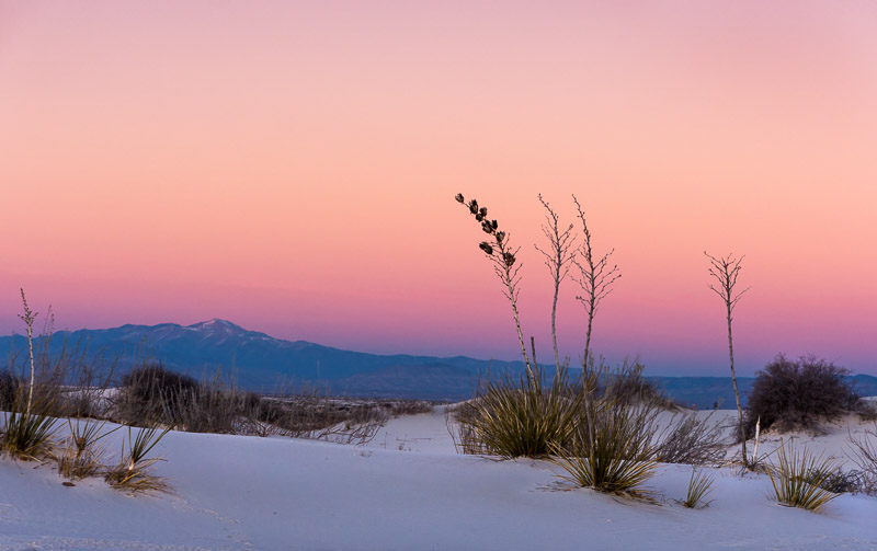 20140101_White Sands_0425.jpg