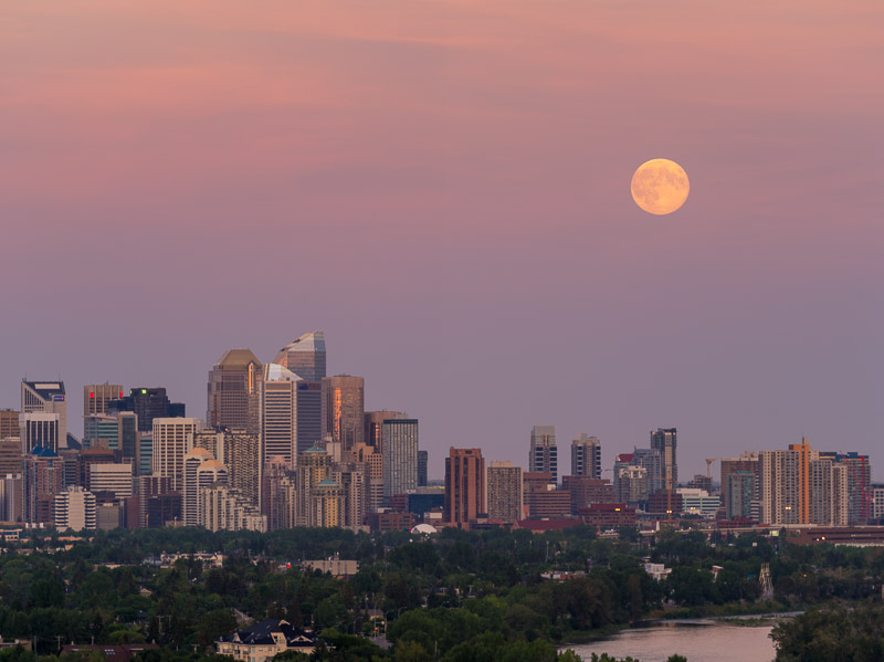 20140810_Calgary_0098.jpg