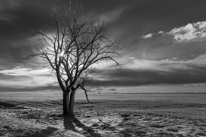 20141218_Alberta_0043.jpg
