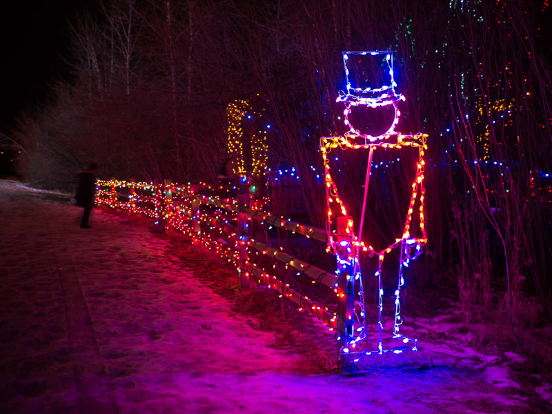 20141223_Alberta_0030.jpg