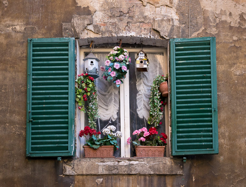 20150208_Siena_0497.jpg