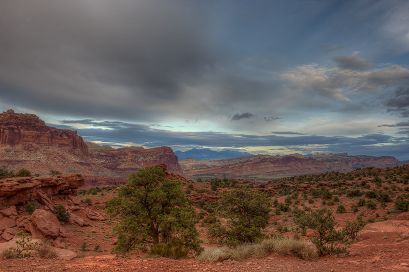 20150505_Capitol Reef_2001_2_3.jpg