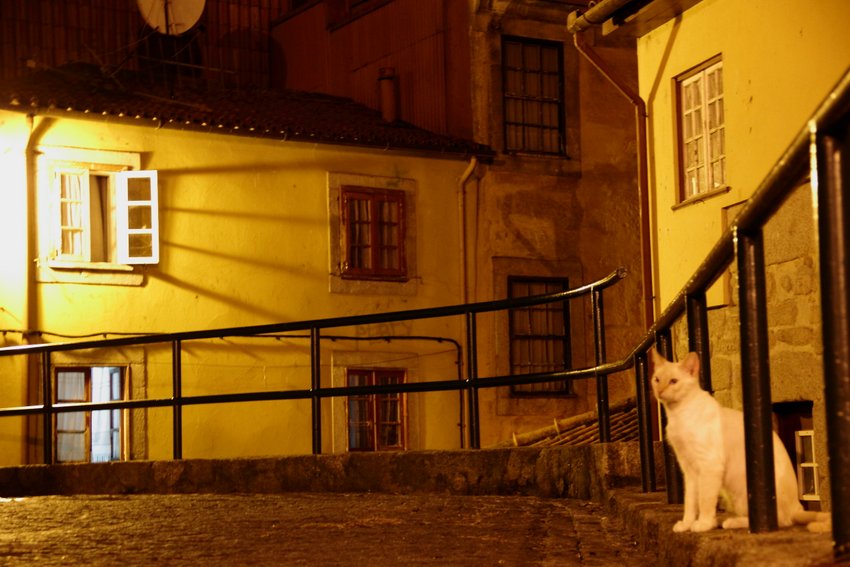 The Ribeira district, Porto