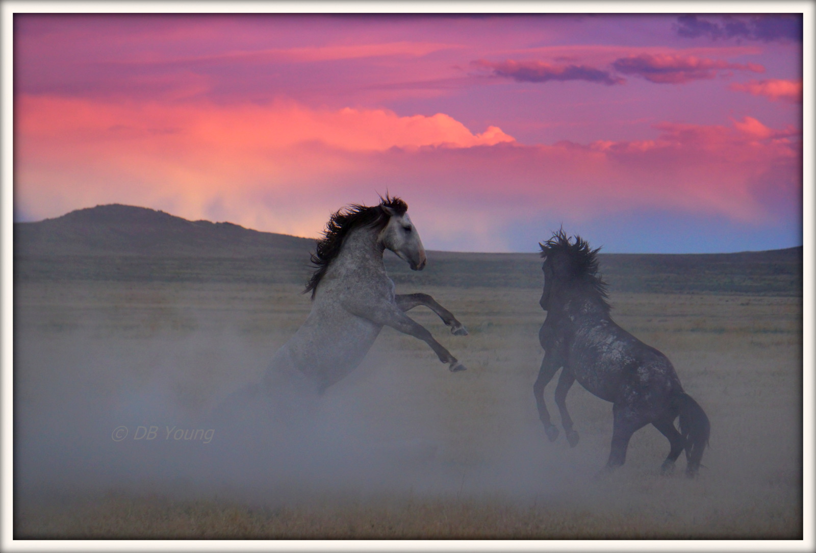 Kick up the dust.