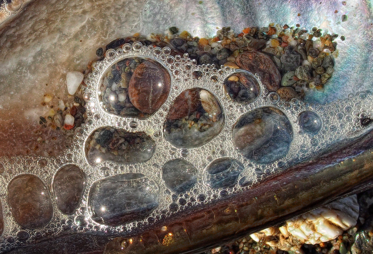 Bubble macro lenses on the Half Shell - Goat Rock State Park, California