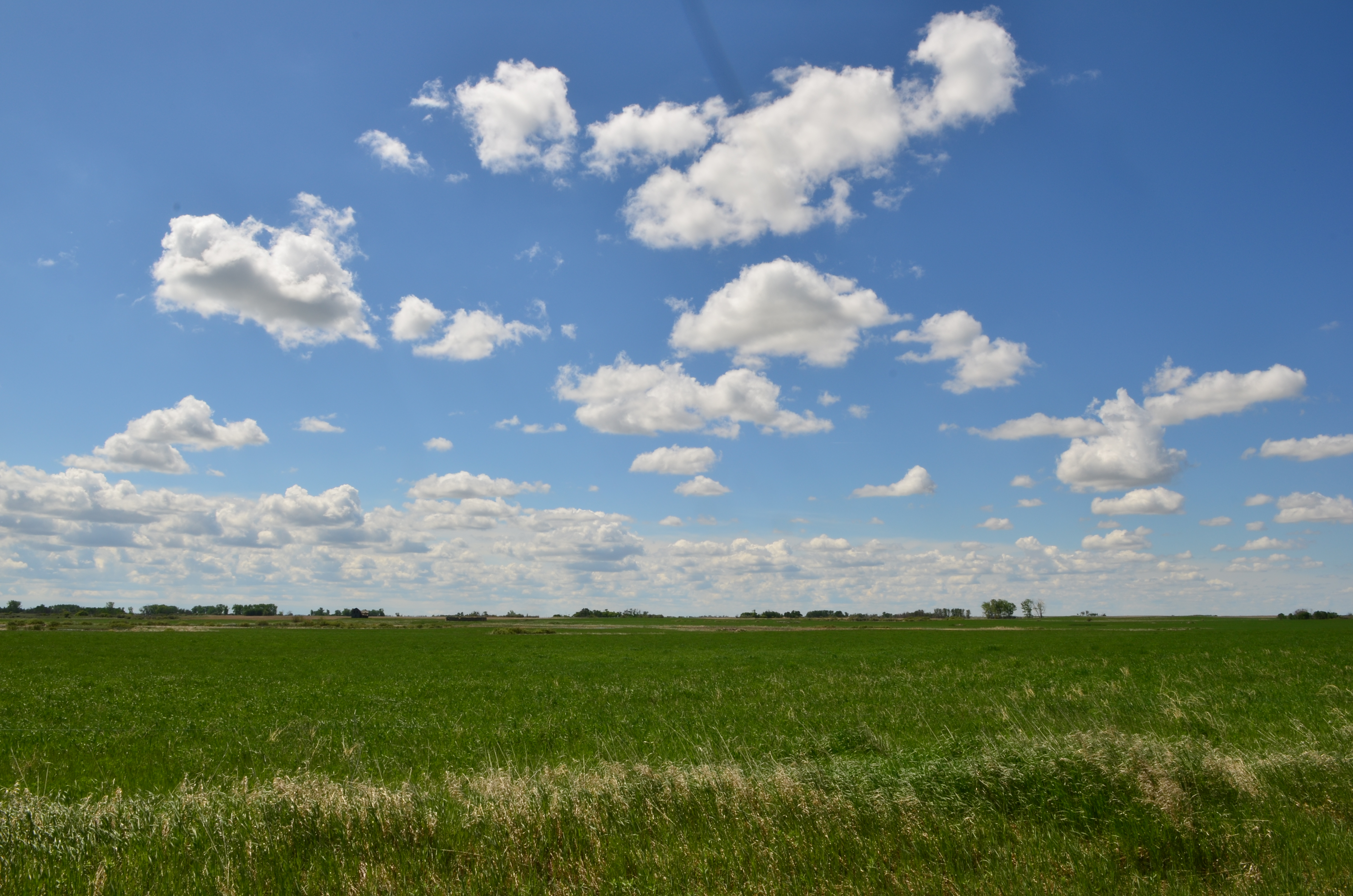DSC_6765.JPG