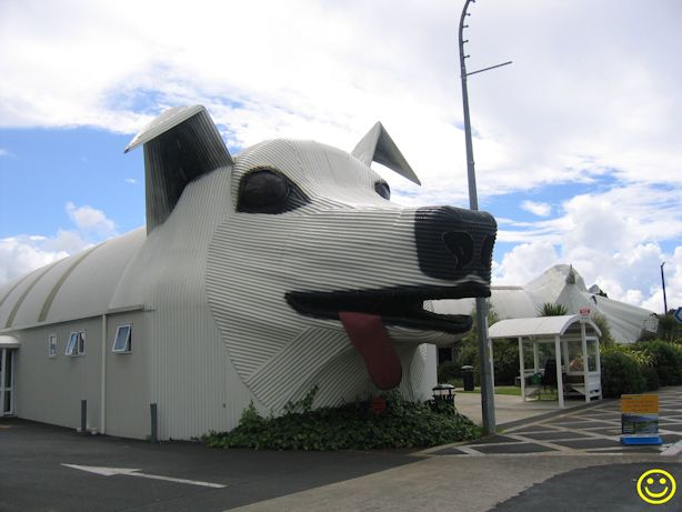 Corrugated-iron canine Wed 4