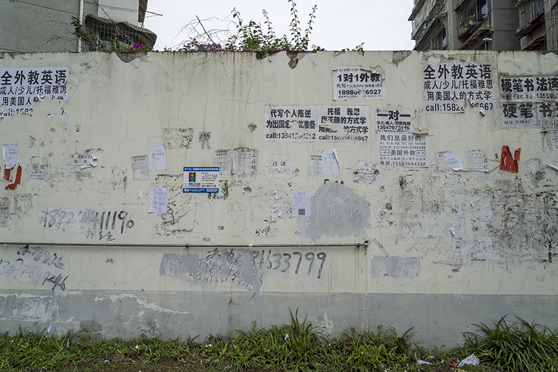 DSC06543.jpg
