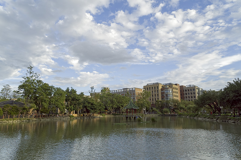 DSC07714_DxO.jpg