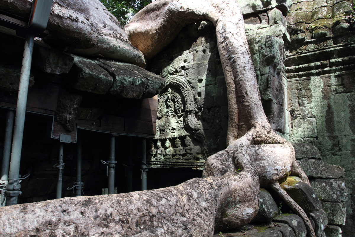SIEM_REAP2013_346.JPG