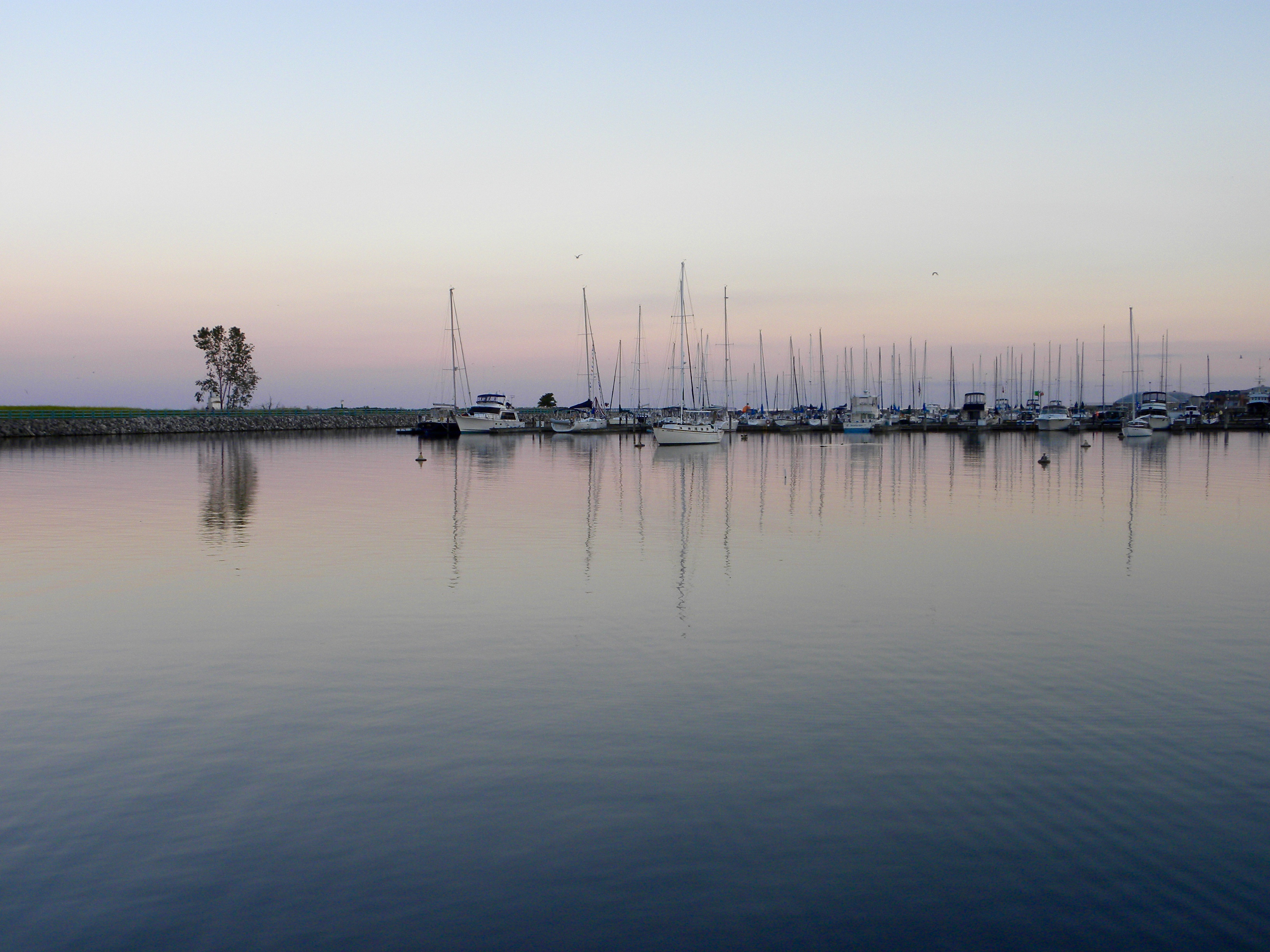 Marina Sunset