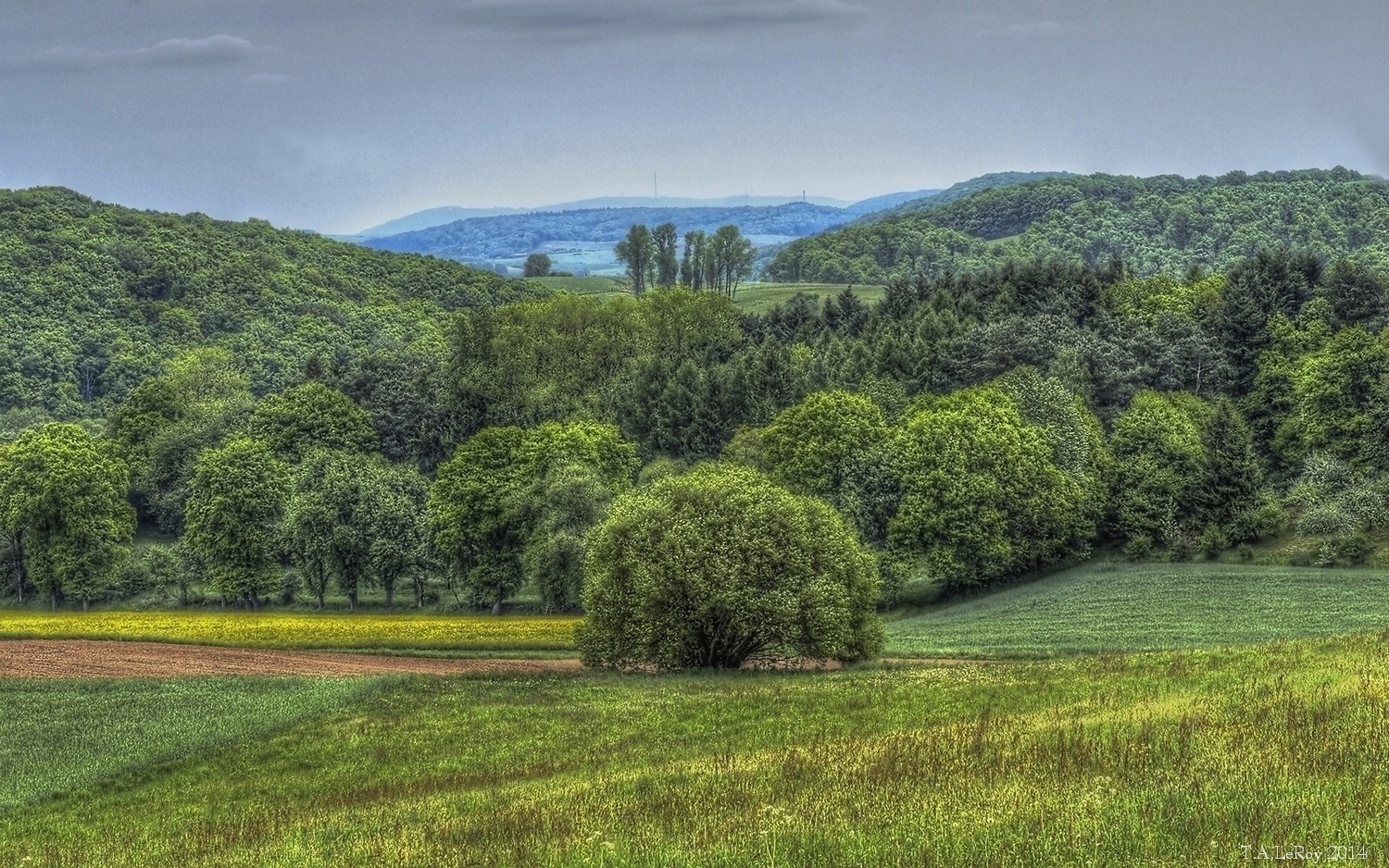 Hilltop View