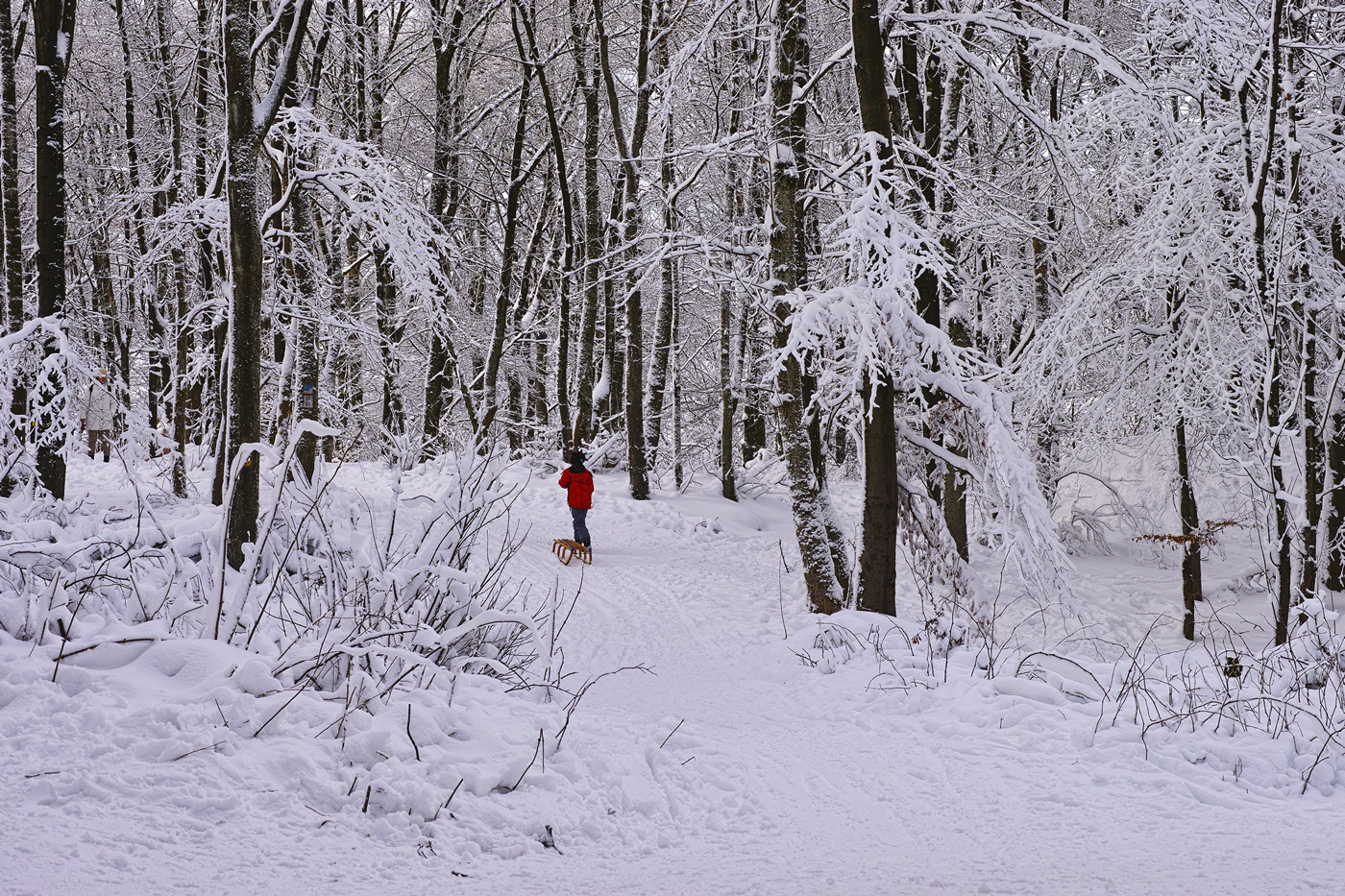 Winter Sport