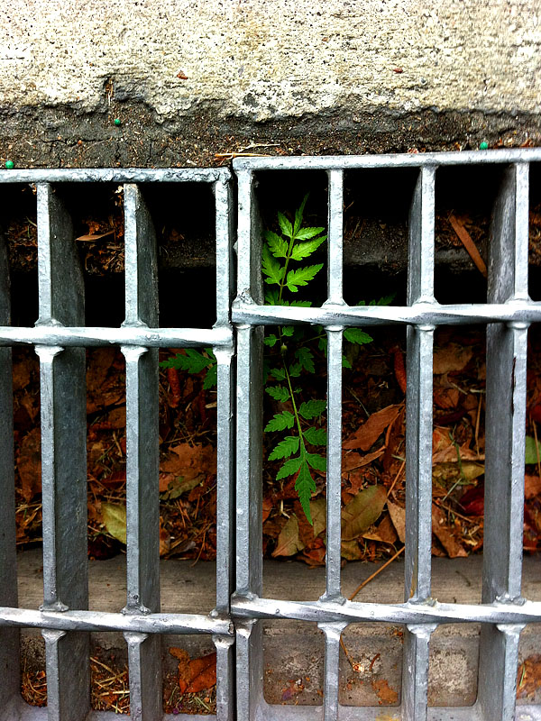 Behind Bars