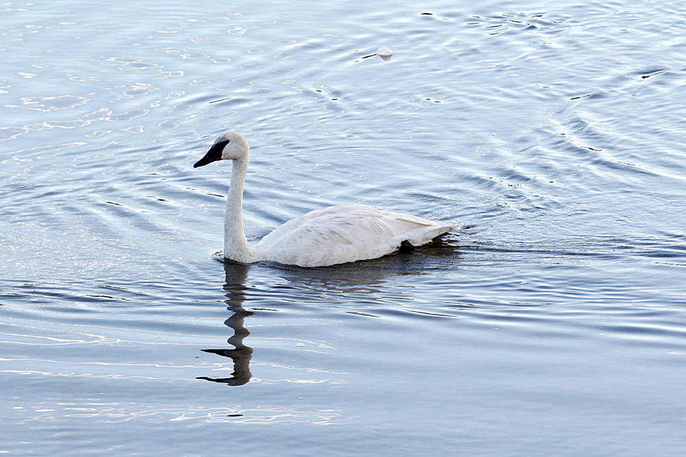 106_F66F0901.JPG