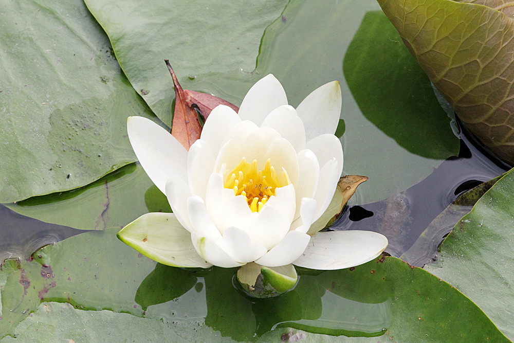 039_Kyoto_F66F5036.JPG
