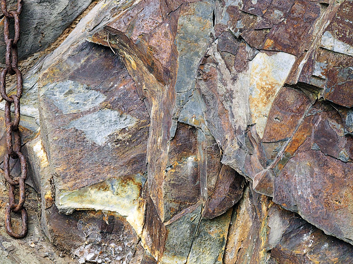 100_P7290537.JPG