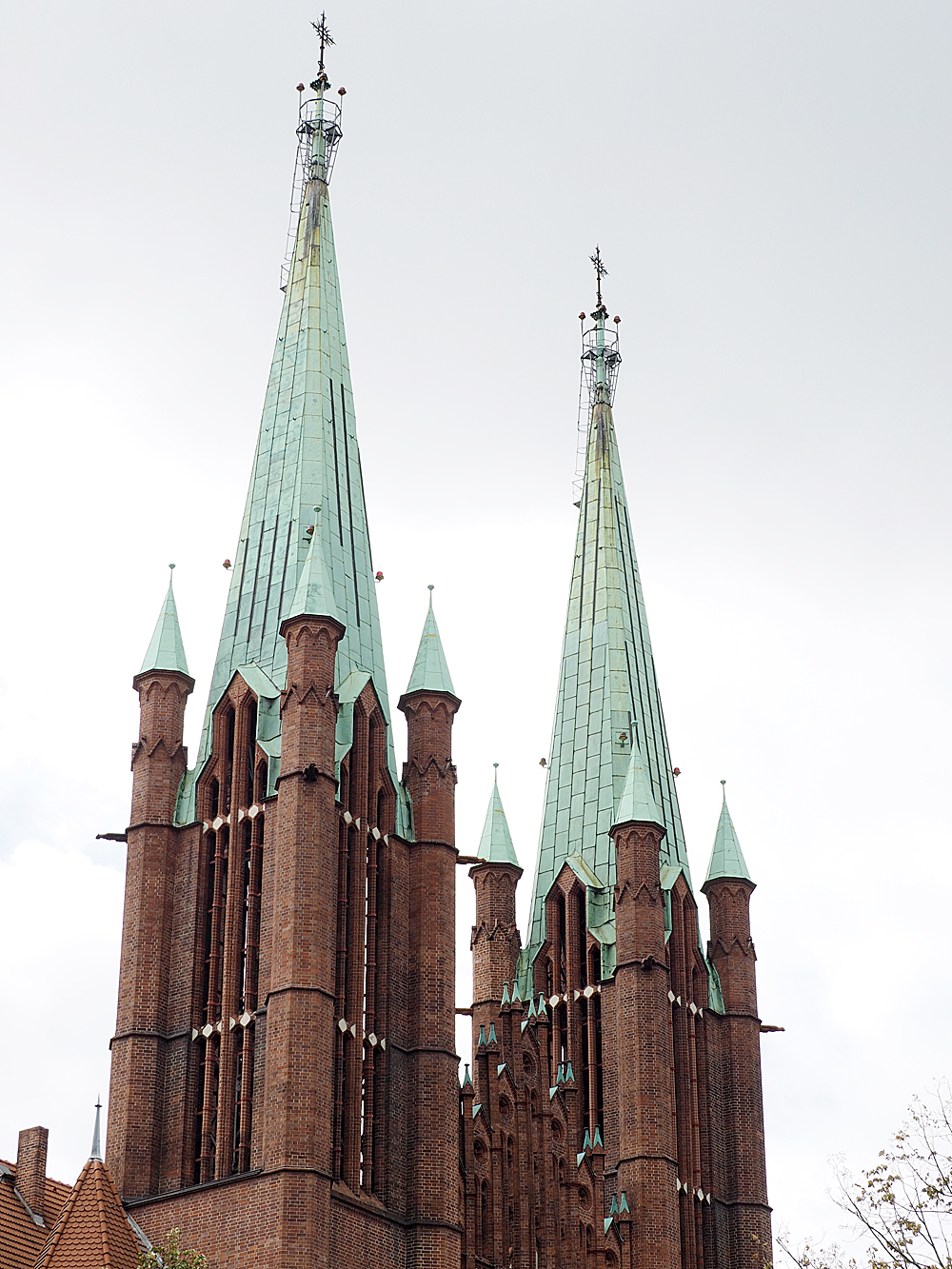 155_OMD11385.JPG