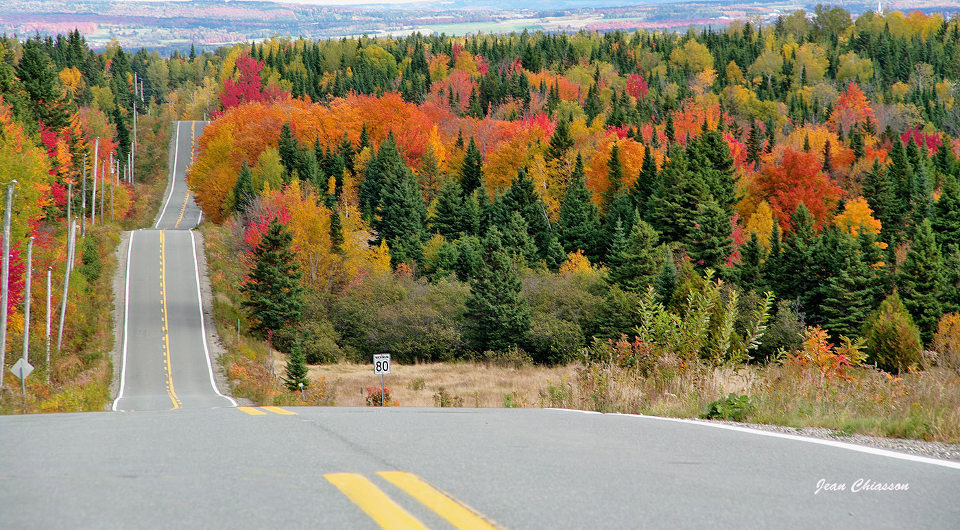  Autumn Qubec /  Montagne Russe - Road