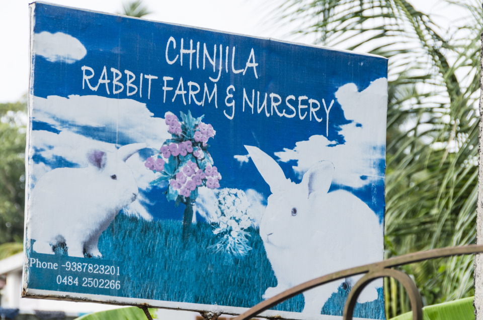 cochinrabbitfarm-sk.JPG