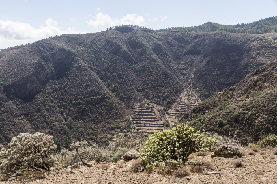 grancanarialandscape1-sk.JPG