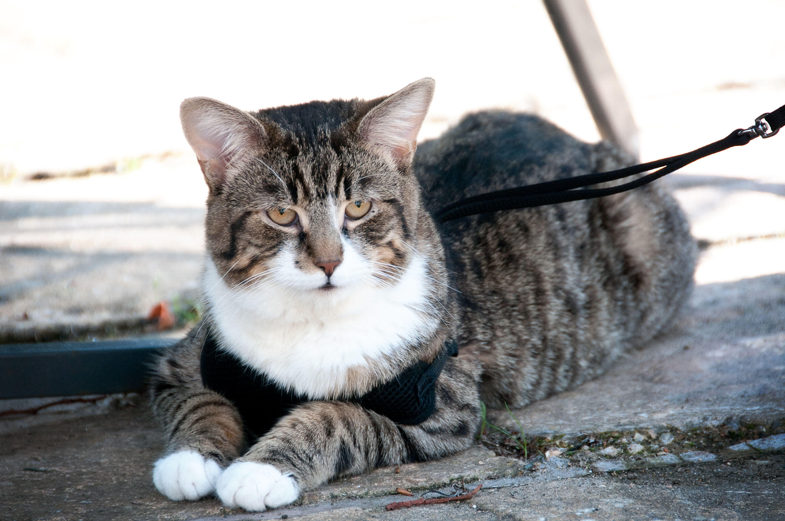 DSC_2300.jpg