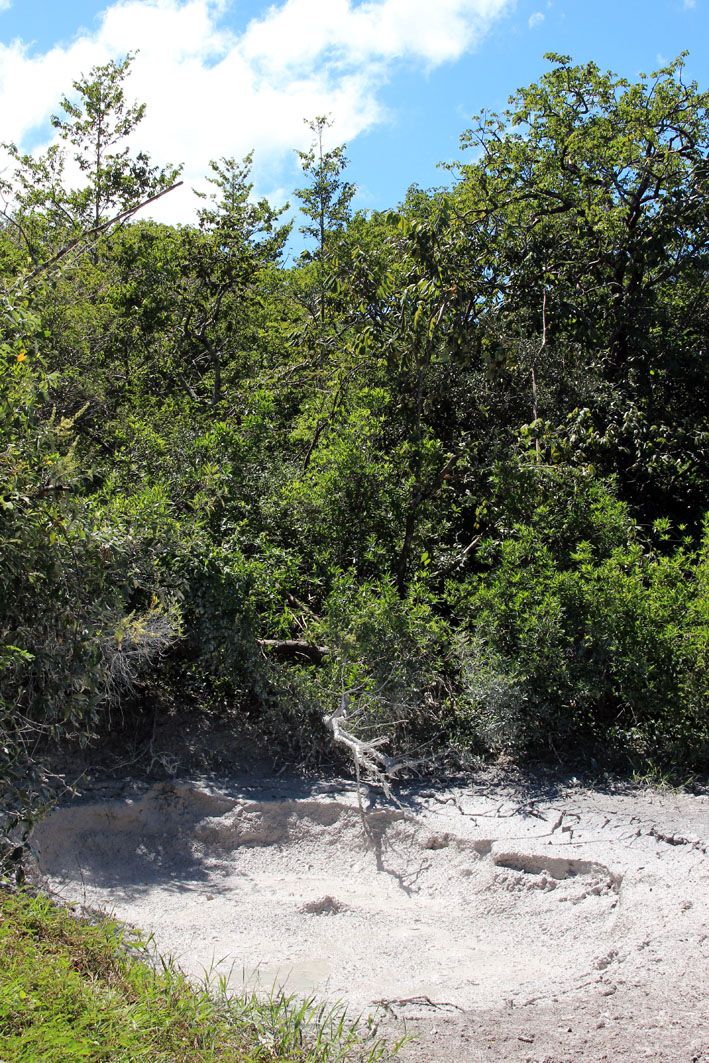 Parque Nacional Rincon de la Vieja