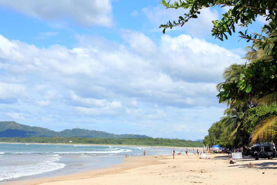 Tamarindo