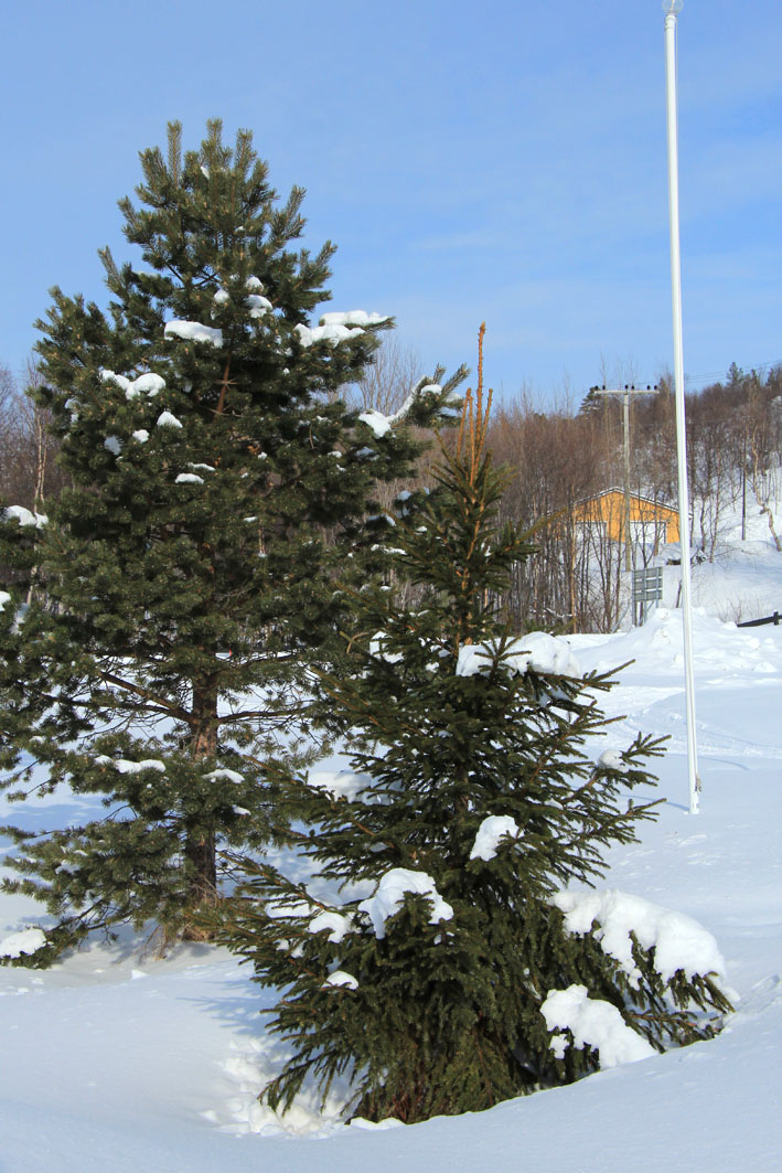 IMG_7139.JPG