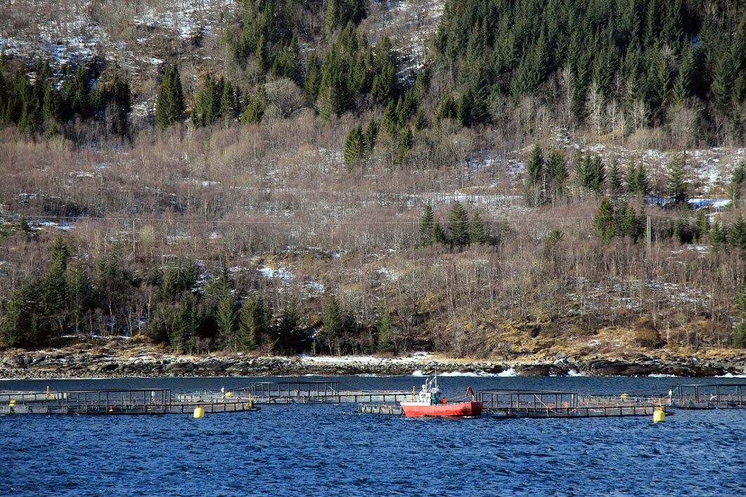 IMG_7630.JPG