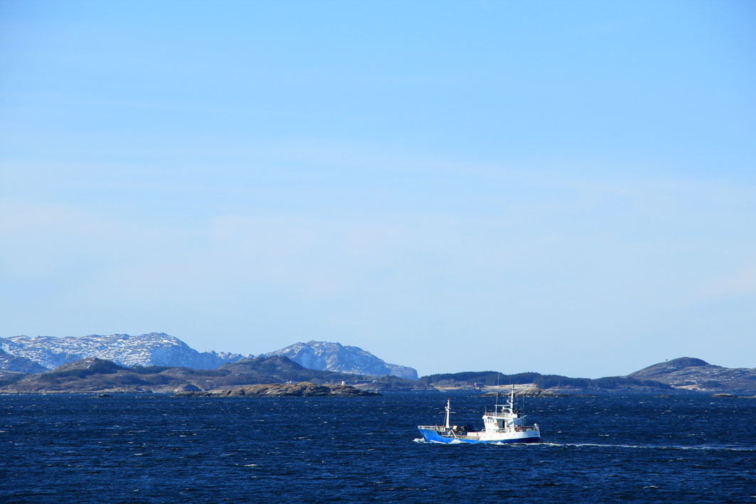 IMG_7633.JPG