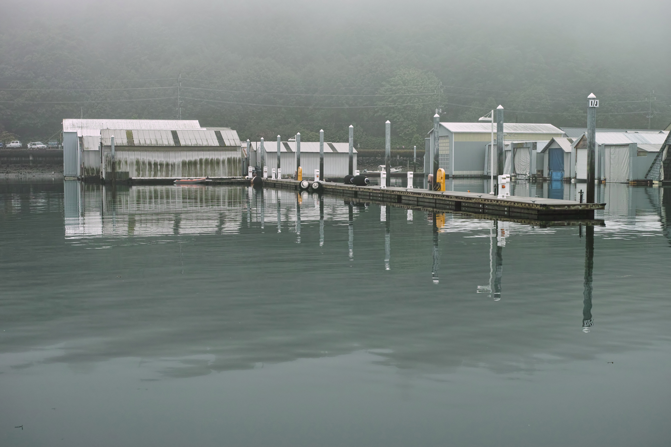 Fog
