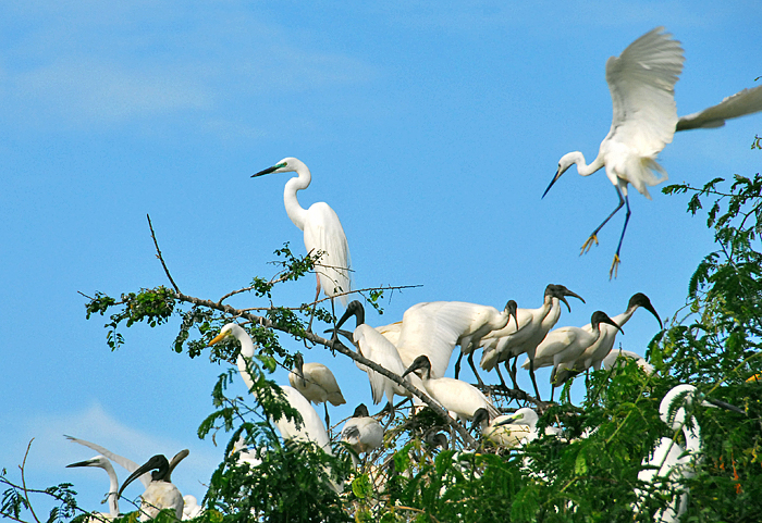 Sri Lanka