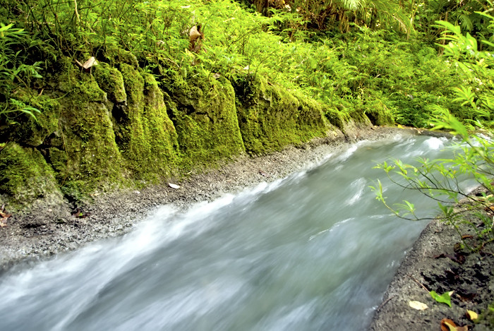 Upper Sui River on Choiseul in the Solomon Islands