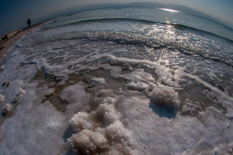 the dead sea