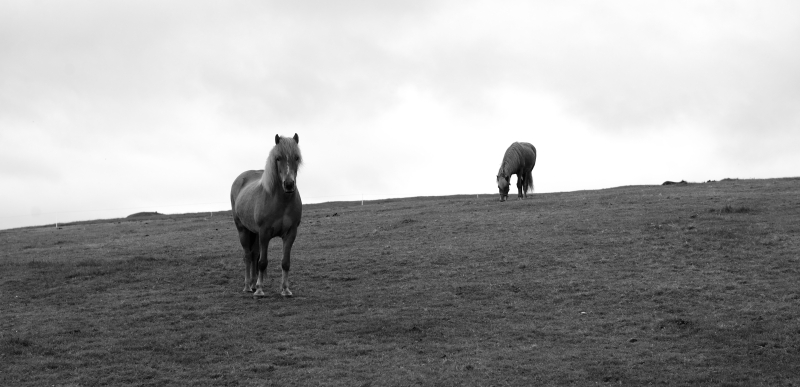 20130616-01-Solheimar04.JPG