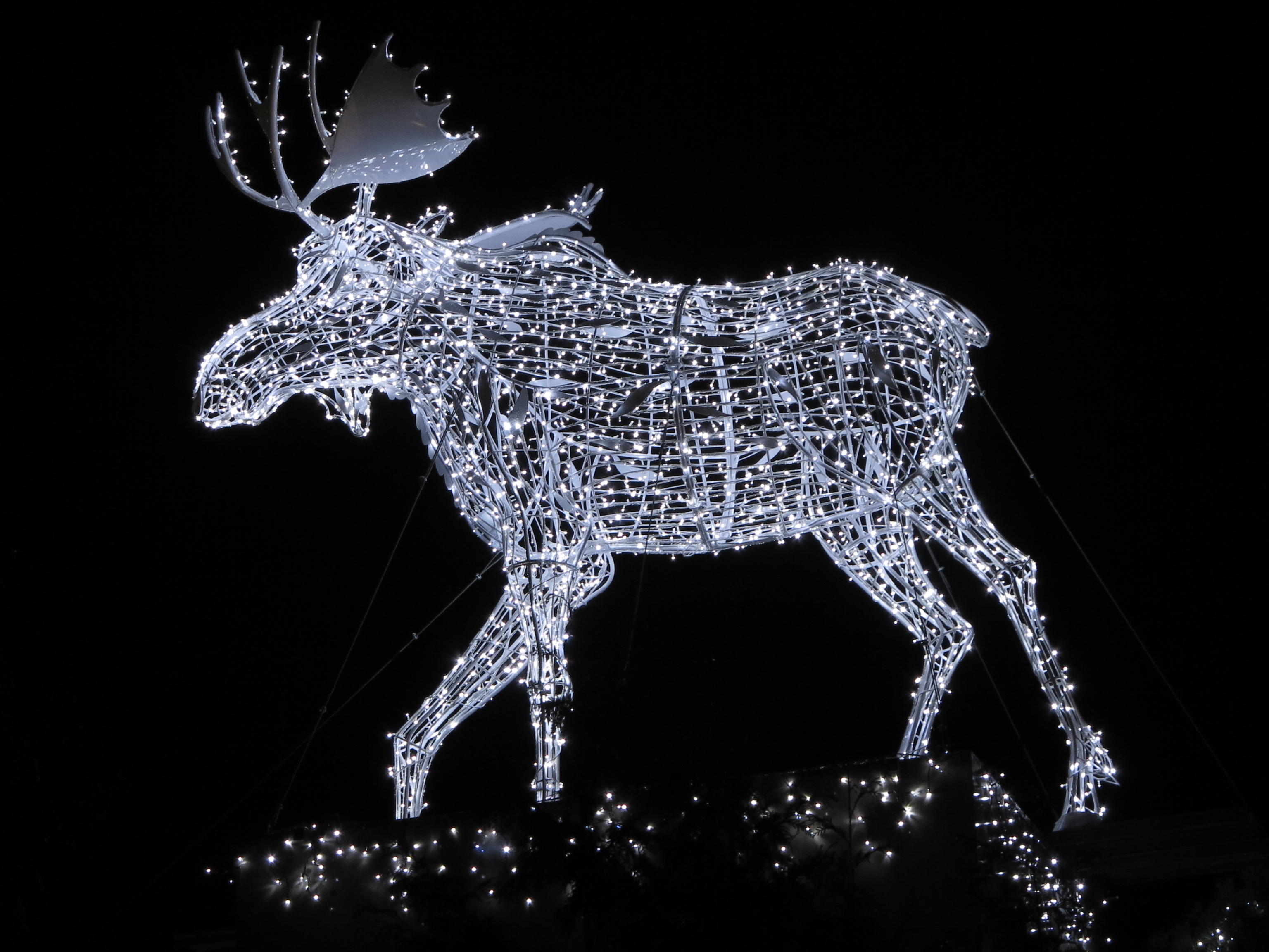 Christmas Moose atop Chip Wilsons mansion, Point Grey Road