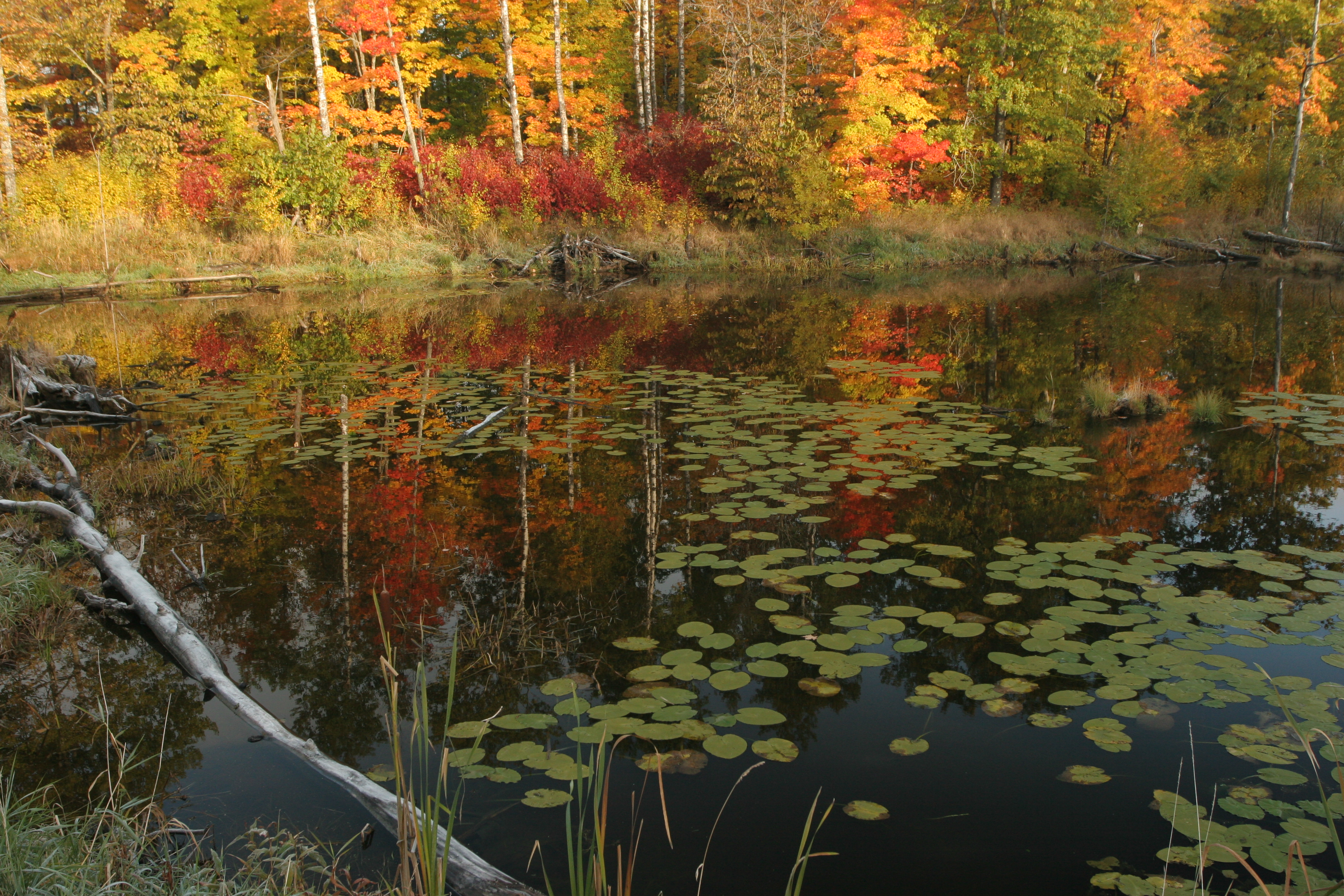 reflection lake2.JPG