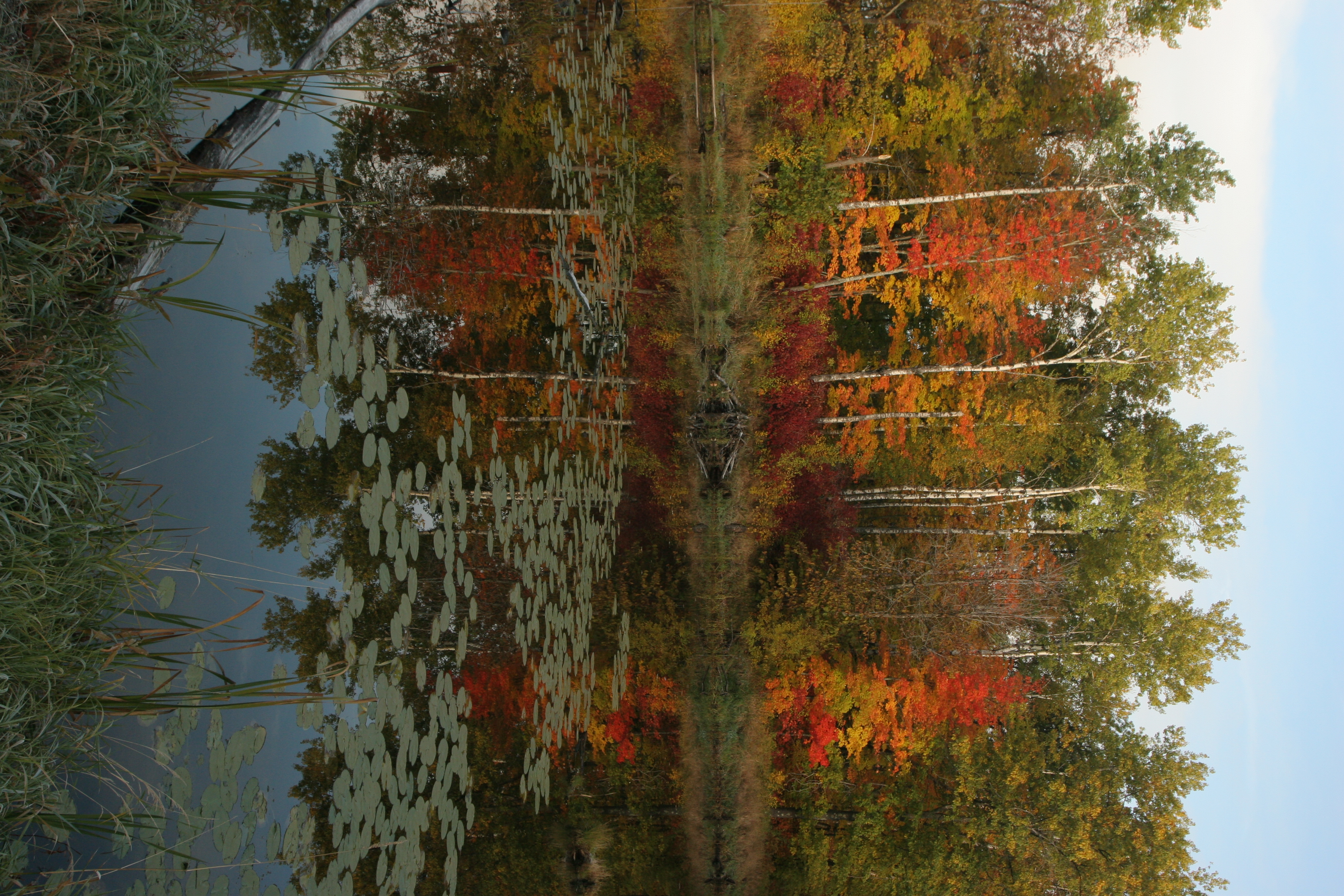 reflection lake3.JPG
