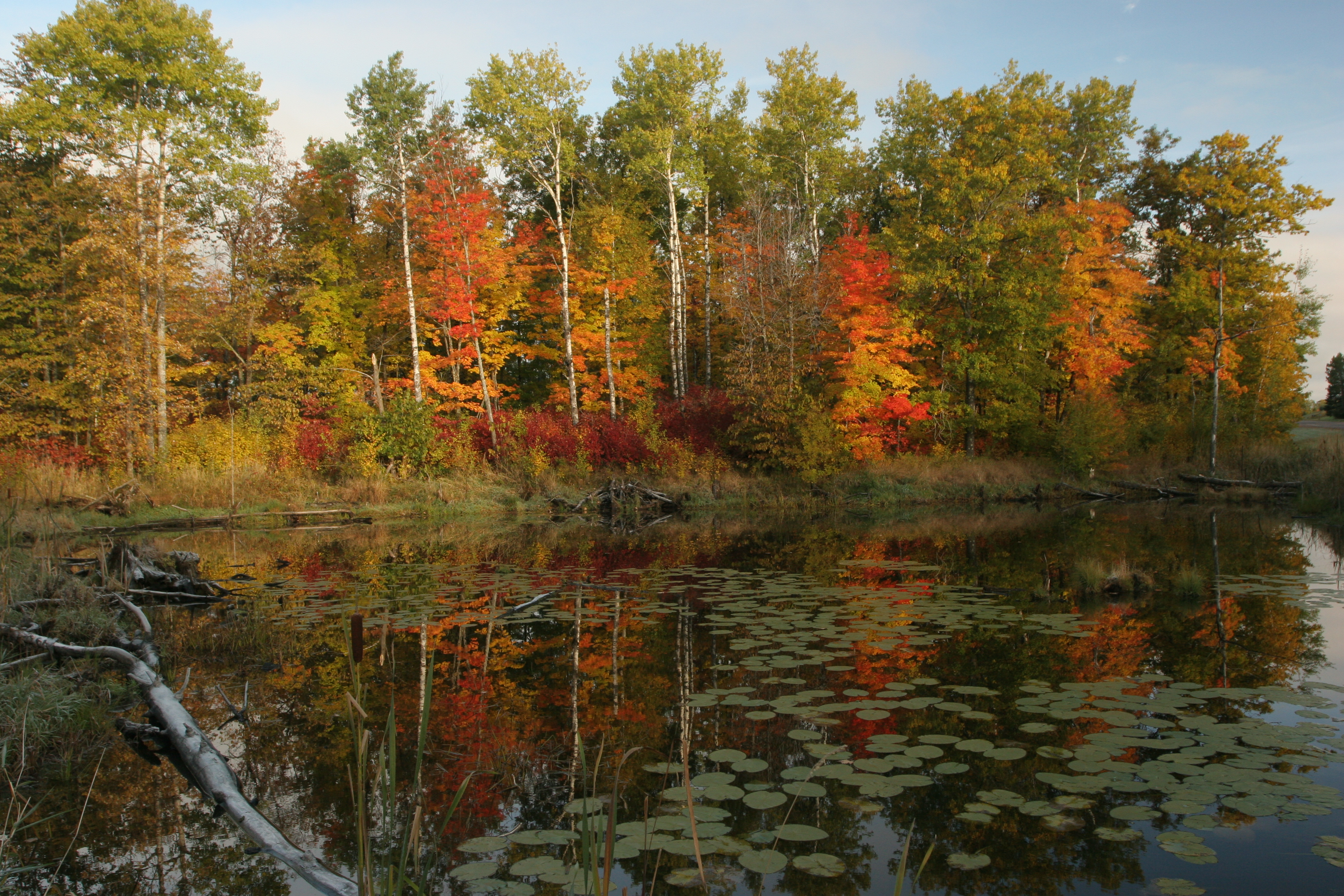 reflection pond1.JPG