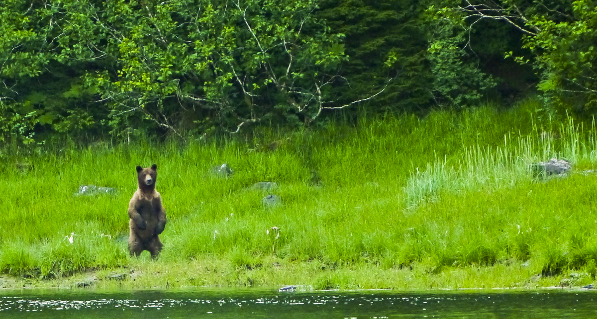 Ready and waiting, Cannery Cove, Pybus Bay, Alaska, 2013