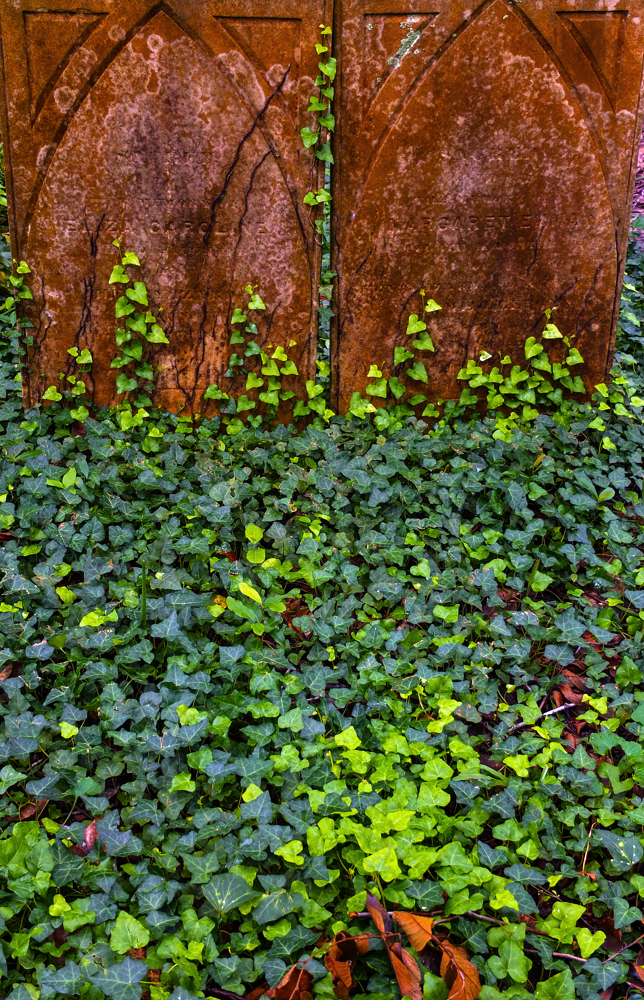 Consumed by nature, St. Philips Graveyard, Charleston, South Carolina, 2013