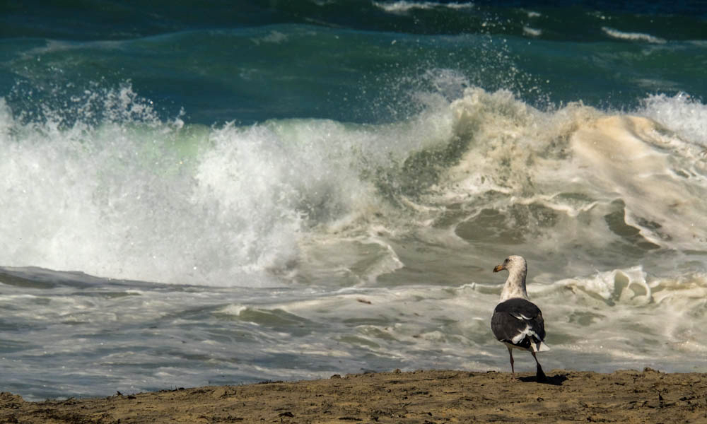 Rough water, Imperial Beach, California, 2014