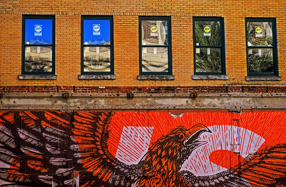 Up from the Ashes, Lerner Building, Jacksonville, Florida, 2014