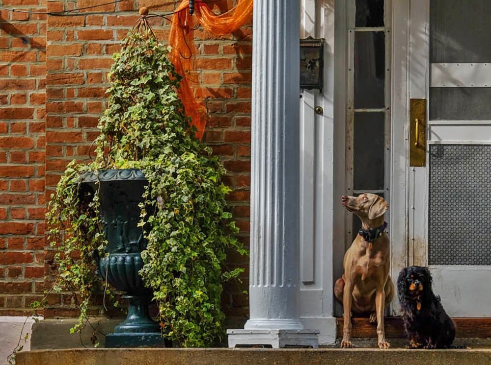 On guard, Beaufort, South Carolina, 2014