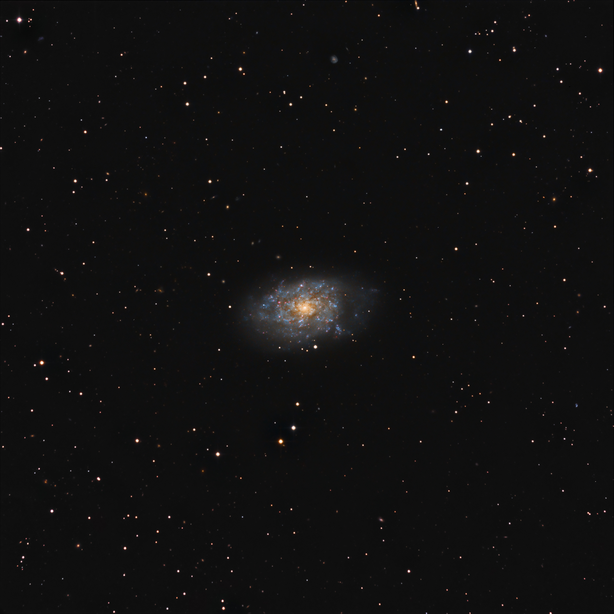 NGC7793 Spiral Galaxy 3.5 hours