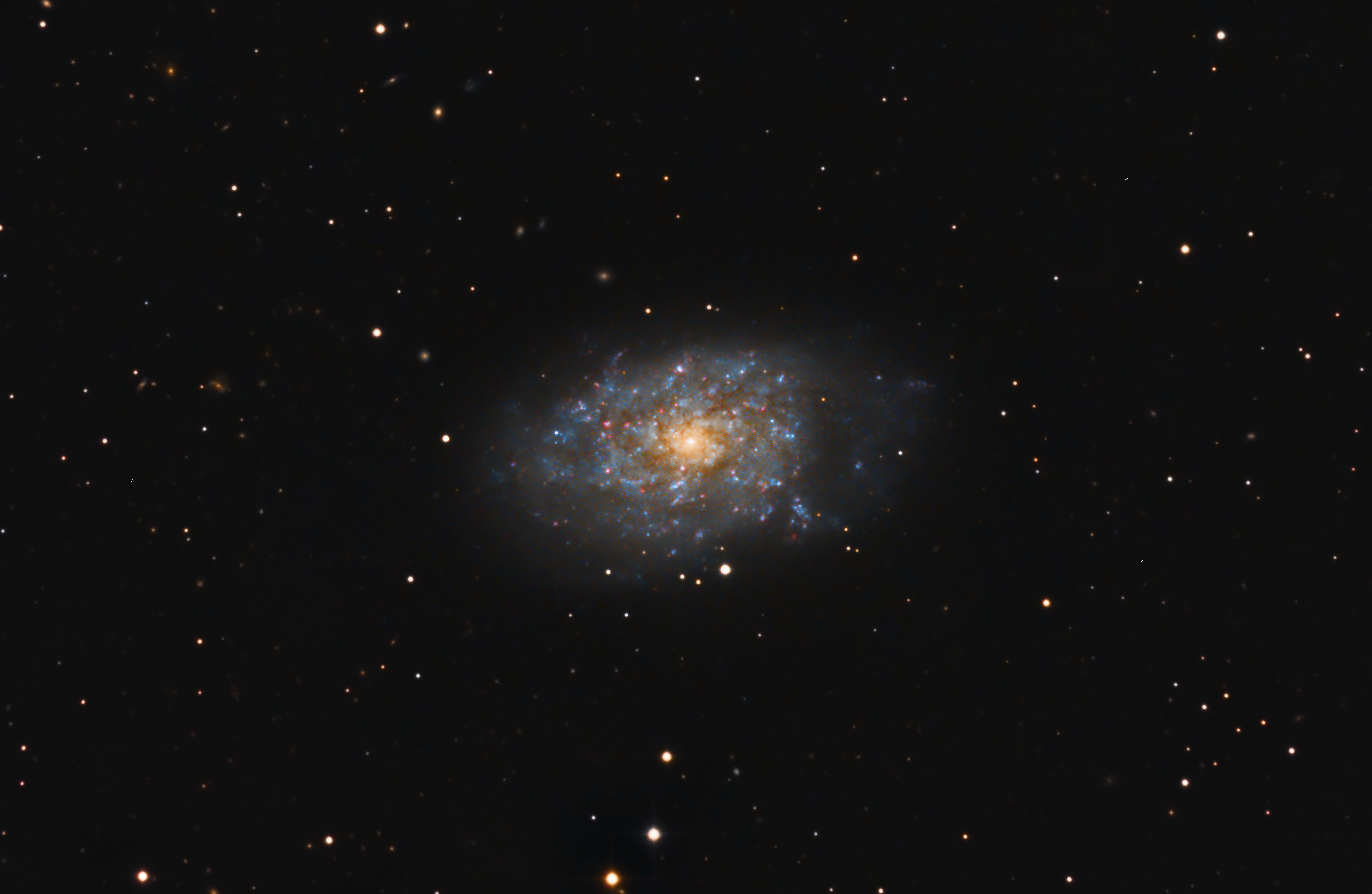 Spiral Galaxy NGC7793  crop view